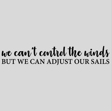 We Can't Control the Winds But We Can Adjust Our Sails