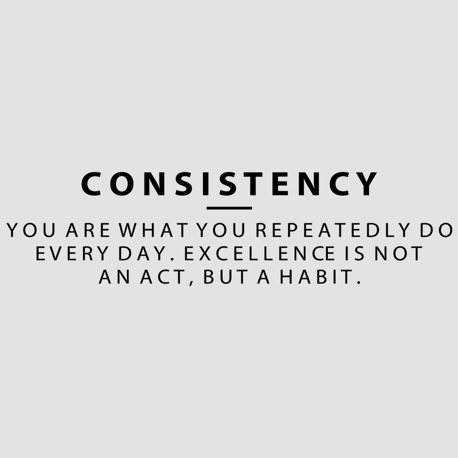 motivational wall decal, inspirational wall quotes, inspirational wall stickers, motivational wall decal for office, consistency you are what you repeatedly do every day. excellence is not an act, but a habit