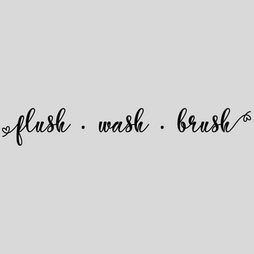 Flush Wash Brush