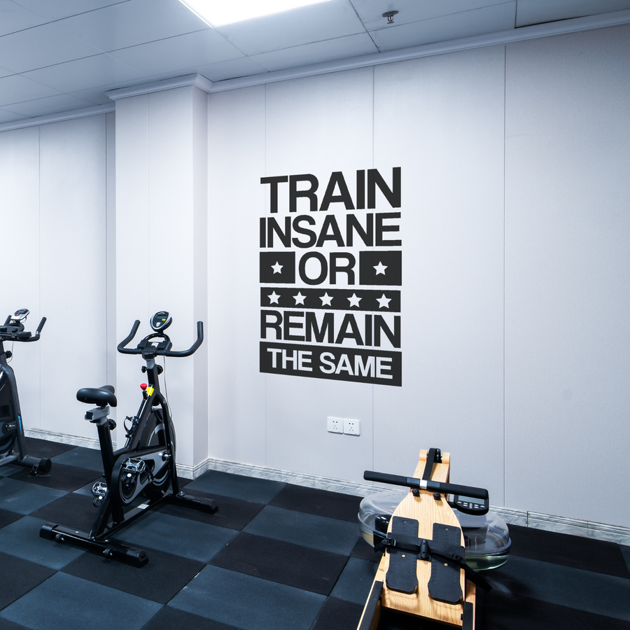 Train Insane or Remain The Same