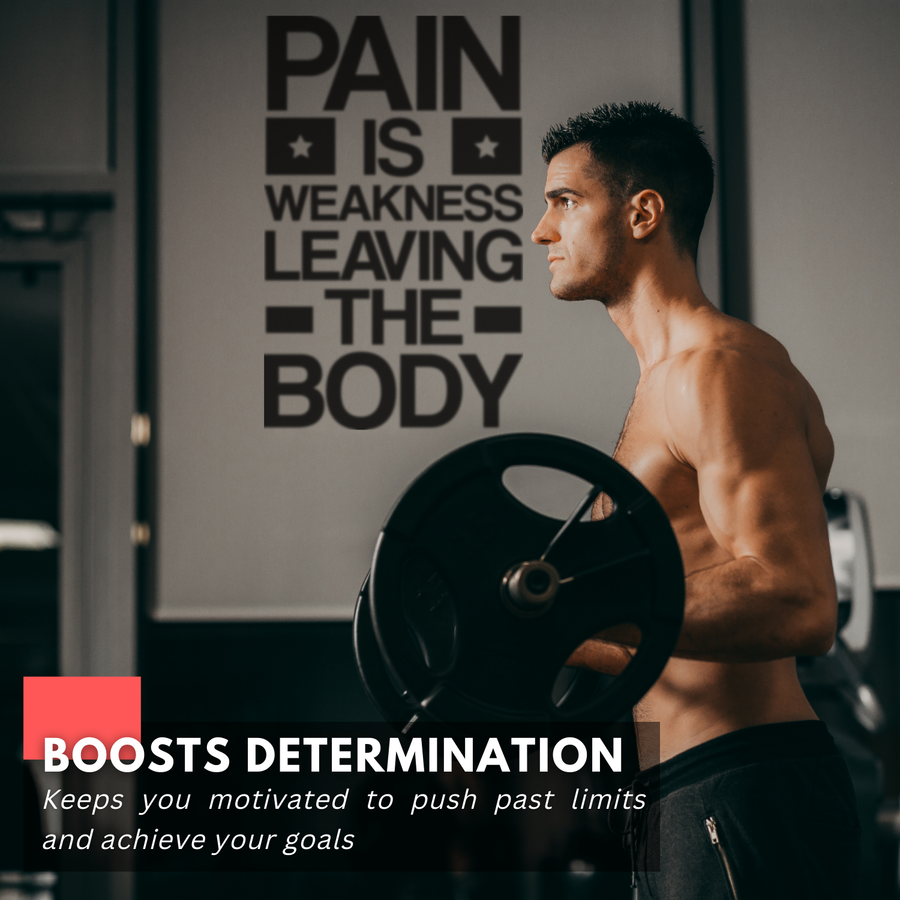 Pain is Weakness Leaving The Body | Motivational Large Gym Wall Decal ...