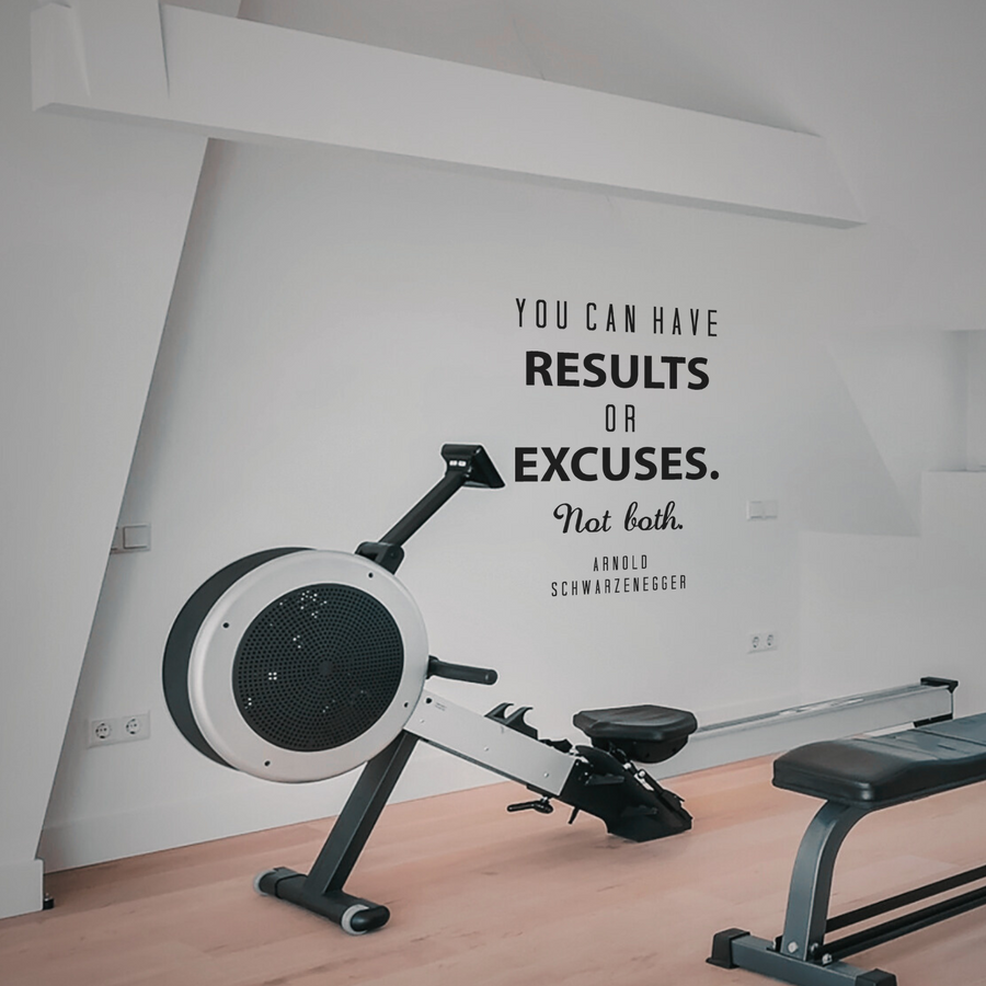 You Can Have Results or Excuses. Not Both. - Arnold Schwarzenegger