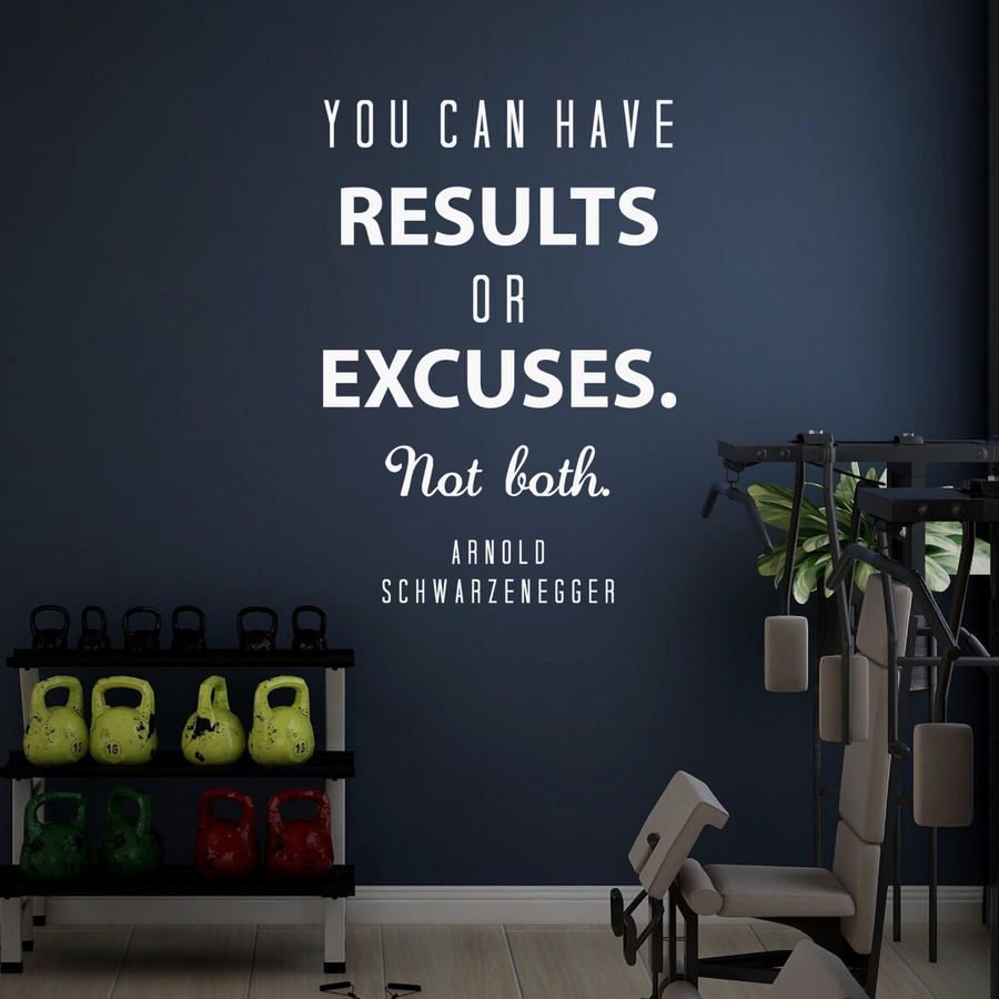 You Can Have Results or Excuses. Not Both. - Arnold Schwarzenegger