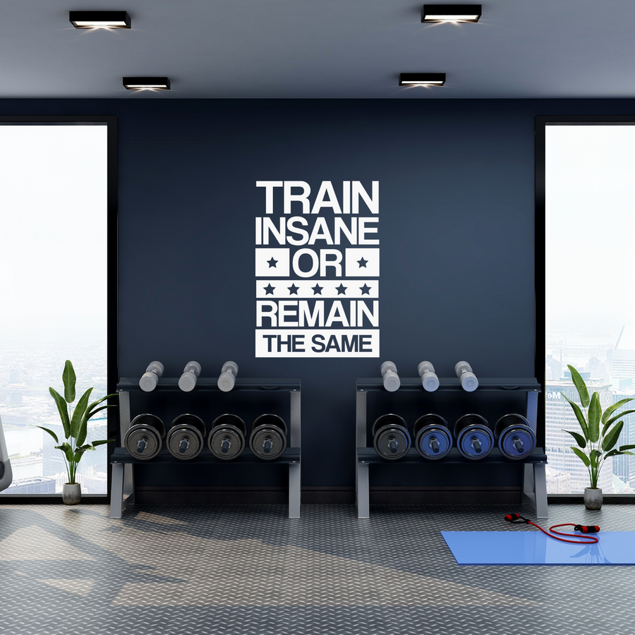 Train Insane or Remain The Same