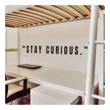My Vinyl Story - Stay Curious - Inspirational Motivational Wall Decal Sticker Quote Art Decor Positive Saying Home Office Classroom Library, Removable