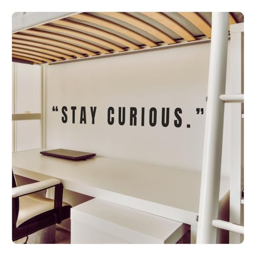 My Vinyl Story - Stay Curious - Inspirational Motivational Wall Decal Sticker Quote Art Decor Positive Saying Home Office Classroom Library, Removable
