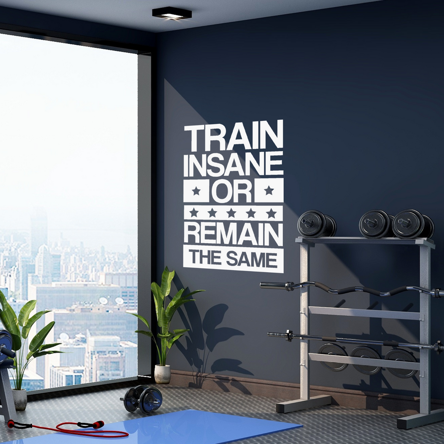 Train Insane or Remain The Same