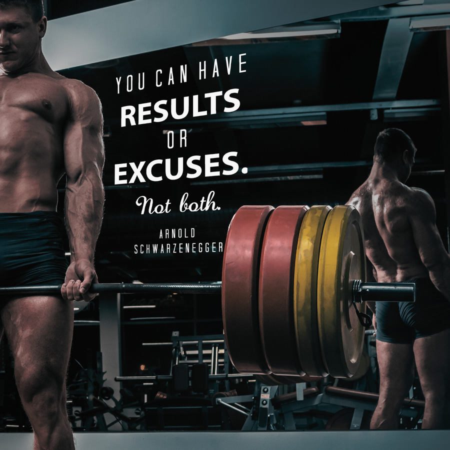 You Can Have Results or Excuses. Not Both. - Arnold Schwarzenegger