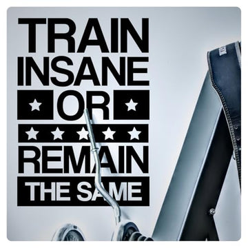 My Vinyl Story - Train Insane or Remain The Same - Large Motivational Large Gym Wall Decal Sticker Quote for Home Gym Exercise Fitness Workout Wall Art Decor Removable