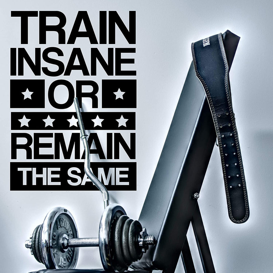 Train Insane or Remain The Same Wall Decal Sticker